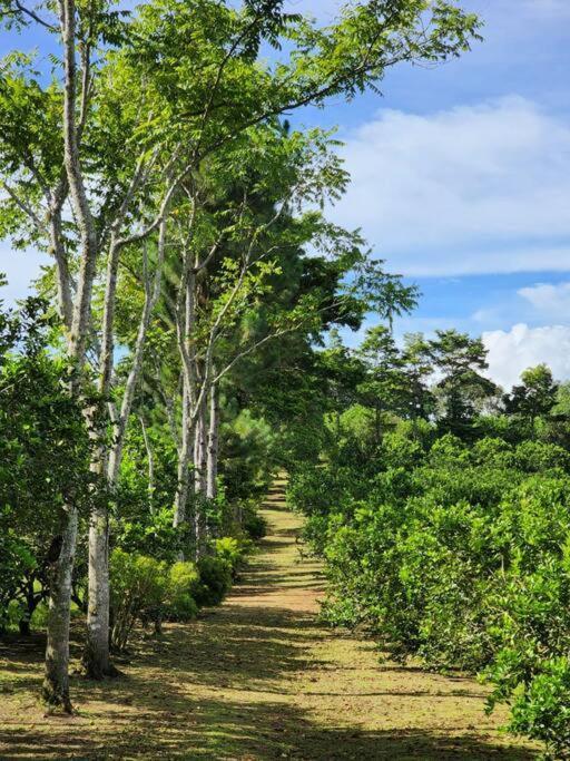 Hospedaje Finca Agroturistica Dona Rufa Rio Sereno Extérieur photo