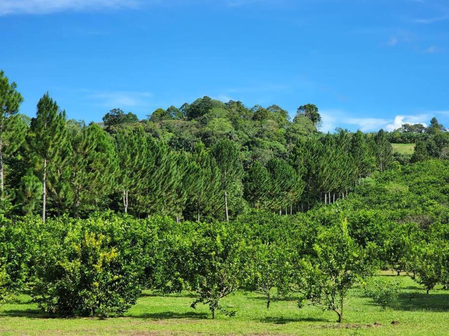Hospedaje Finca Agroturistica Dona Rufa Rio Sereno Extérieur photo
