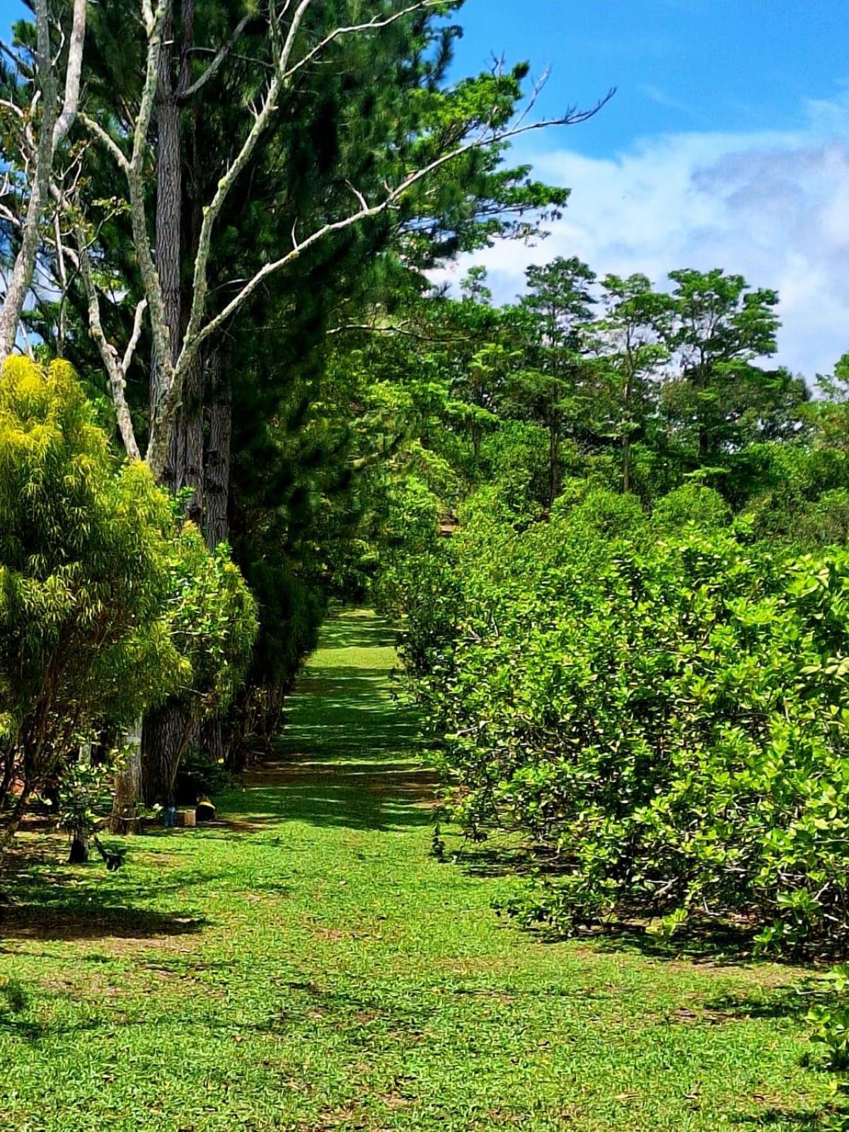 Hospedaje Finca Agroturistica Dona Rufa Rio Sereno Chambre photo